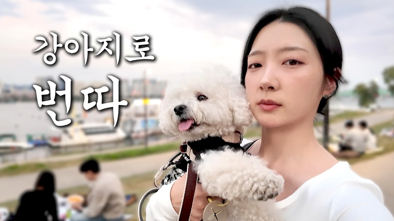 번호 따일 때까지 한강에서 강아지 산책시키기 ㅋ