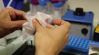 Light Microscopy : Metrology tutorial for PSF characterization