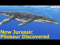 A New Pliosaur Species Has Been Discovered | 7 Days of Science