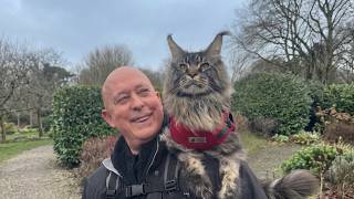 He Adopted the Cat Nobody Could Touch — Now They Hike Together Every Morning