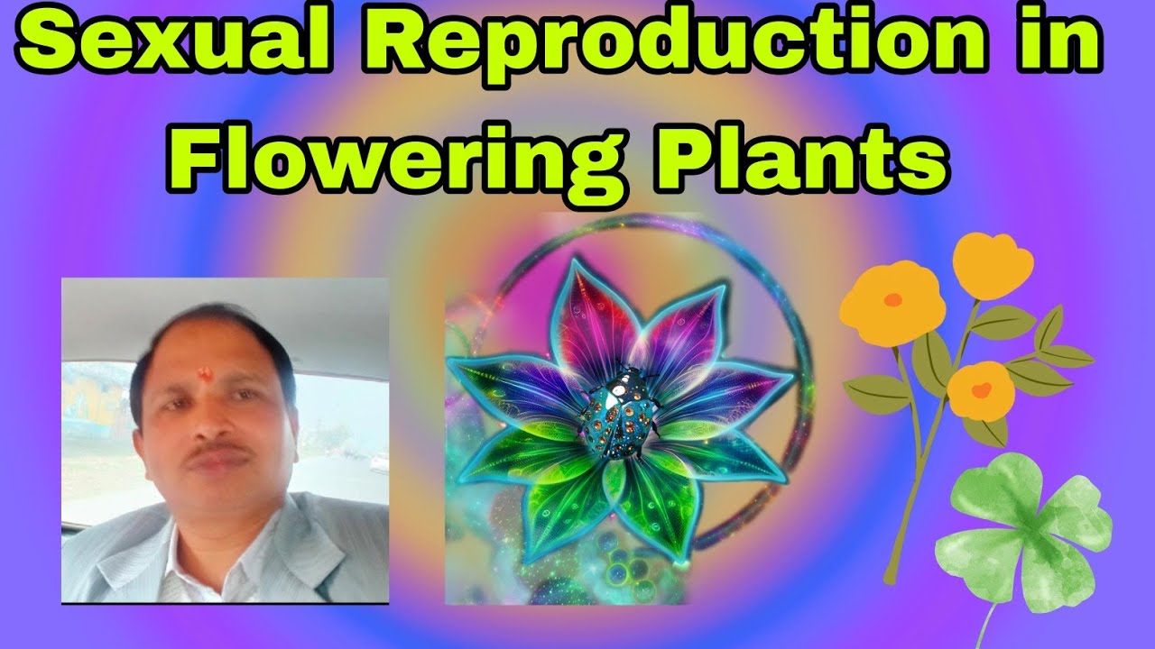 Super Presentation of Biology by the student of class 12th