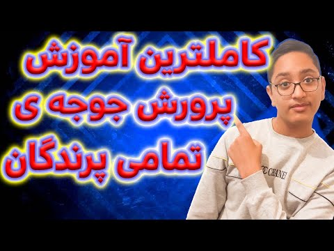 تصویری: 5 روش پرورش جوجه