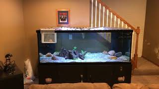 The in and outs of the 300 gallon aquarium