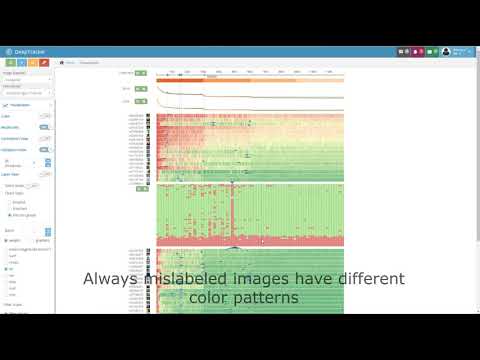 DeepTracker: Visualizing the Training Process of Convolutional Neural Networks