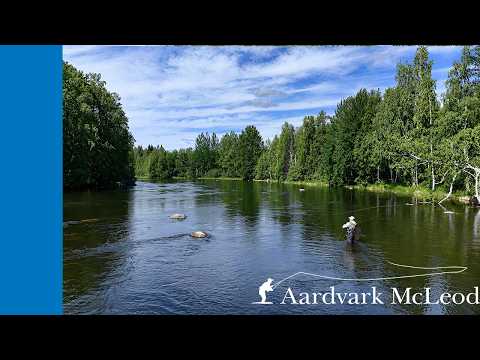 Fly Fishing Kellankoski Lodge in Finland