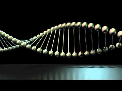 3D Model of a Rotating DNA Helix