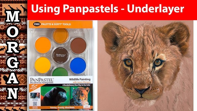 PanPastel- Ultra Soft Artists' Painting Pastels, For Painting, Drawing &  Mixed Media