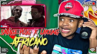 🇺🇸🇩🇿USA REACTS TO Savage Plug Ft Laioung - AFRICANO | REACTION😱🔥