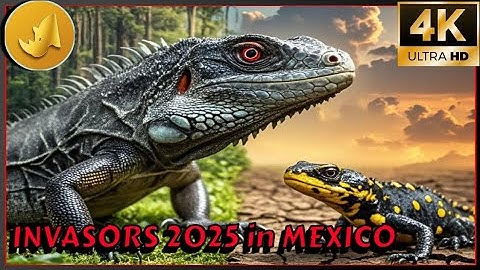 SILENCE INVASION: The SPECIES THAT Threaten MEXICO in 2025 🚨🌿