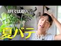 夏に弱る原因は暑さだけじゃない｜7月から始める夏バテ対策