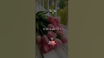 #ذكر_الله #قرآن #القرآن_الكريم #تلاوة_خاشعة #صوت_عذب #راحة_القلب #تلاوة #قران_كريم #صلوا_على_النبي ﷺ