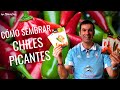 Cómo SEMBRAR PIMIENTOS - Cultivar CHILES PICANTES - EP 01 || en20metros