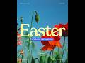 user img