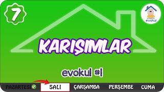 Karışımlar | 7. Sınıf #evokul Kampı