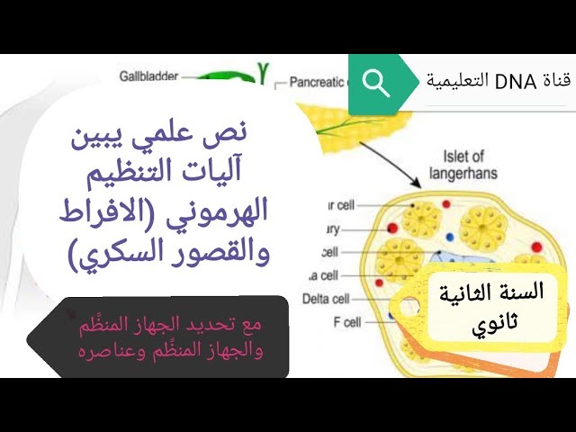 نص علمي حول التنظيم الهرموني للسنة الثانية ثانوي