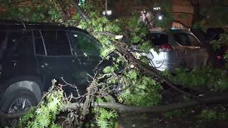 Heavy rain causes flooding and downed trees across NYC