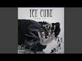 Ice Cube Freedumb Instrumental 