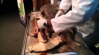 Science wrap, 04 July 2014