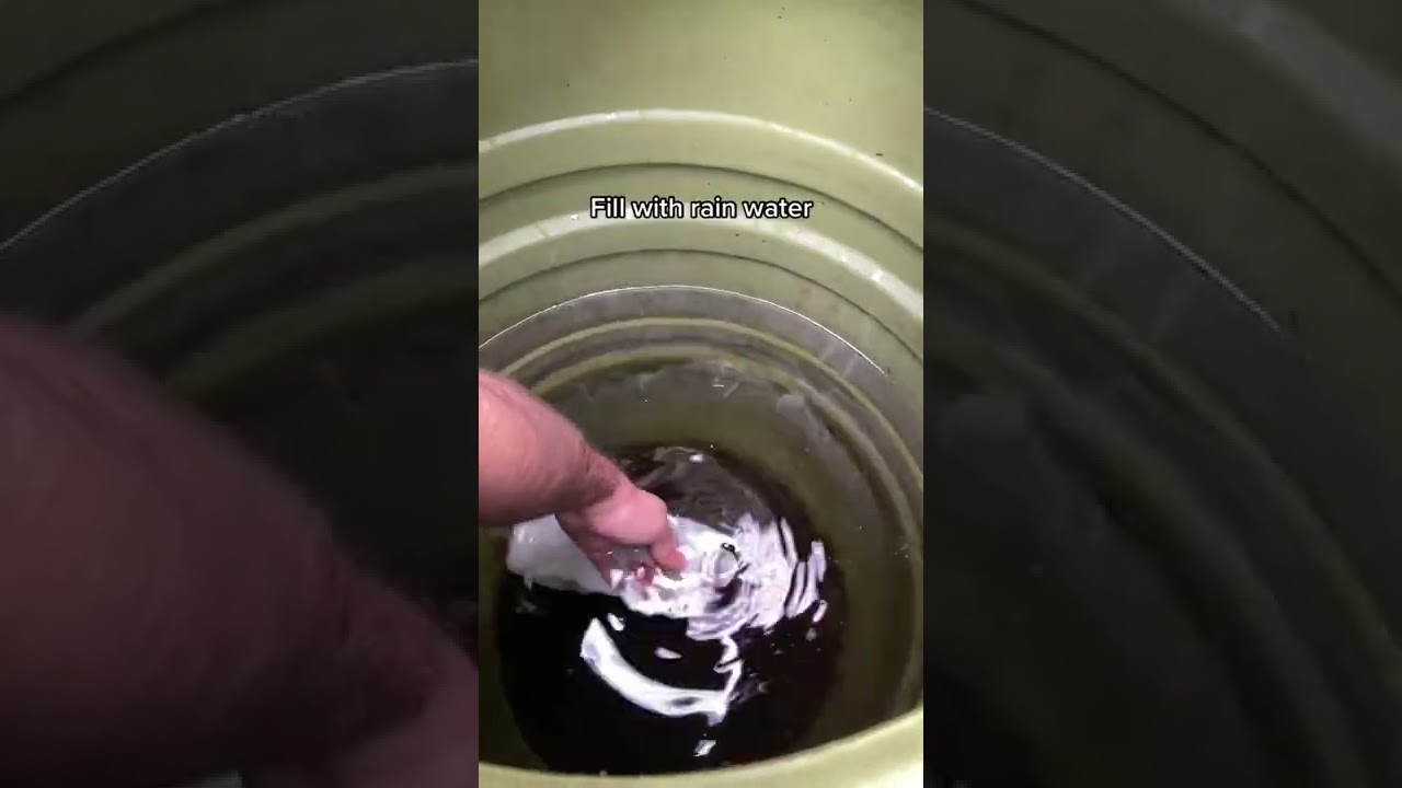 howto upcycle your old milk and juice cartons diy reuse recycle plants planttok upcyling plantdad ze