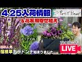 【園芸】入荷情報＆花友セット 寄せ植えLIVE#ガーデニング