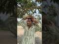 Ye le bhai tu bhi Dekhle #viral #RjdBihar #TejashwiYadav #khesari