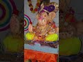 गांधीन माशीने हाताची पप्पी घेतली #rushimorevlogs #digitalcreator #minivlog #comedy #गाव #farming