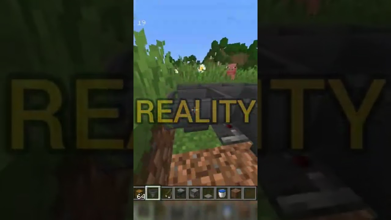 illegal op farm reality!!| Expectations VS Reality