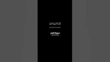 سوره الزمر #بلبل_البصره نعمه الحسان #اكسبلور