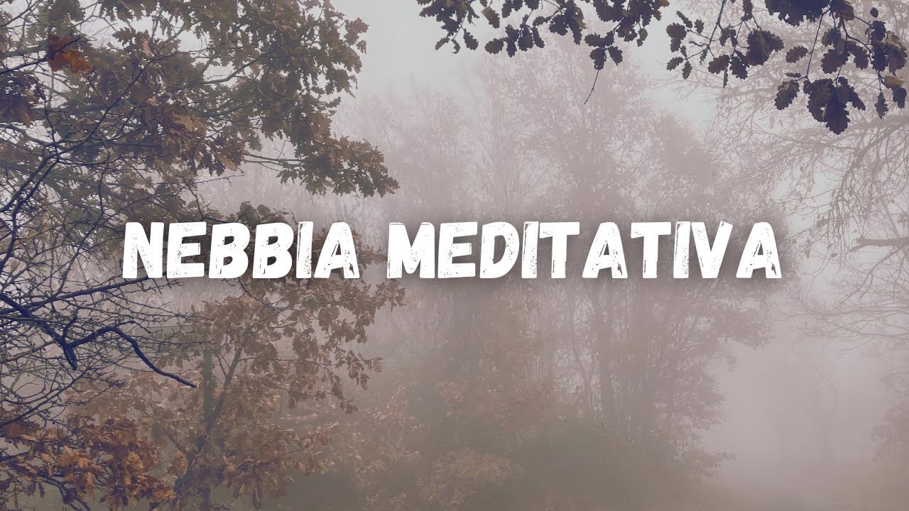 NEBBIA MEDITATIVA