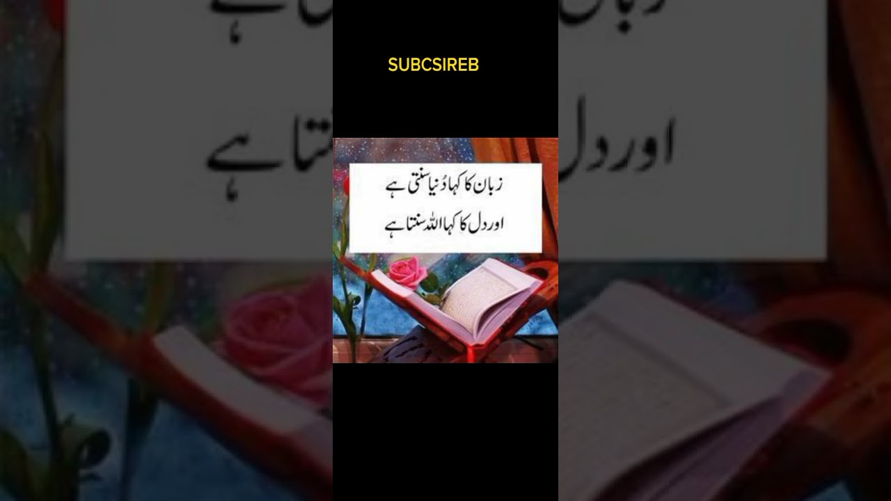 new live Urdu shayari WhatsApp status video 