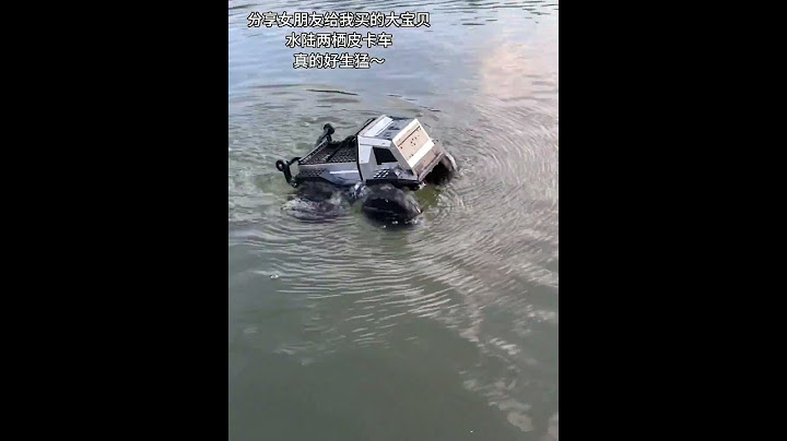 这样的大宝贝谁不喜欢啊#玩个很新的东西