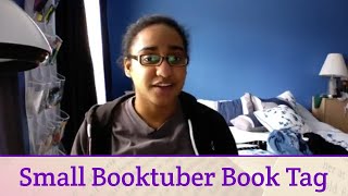 Small BookTuber Book Tag