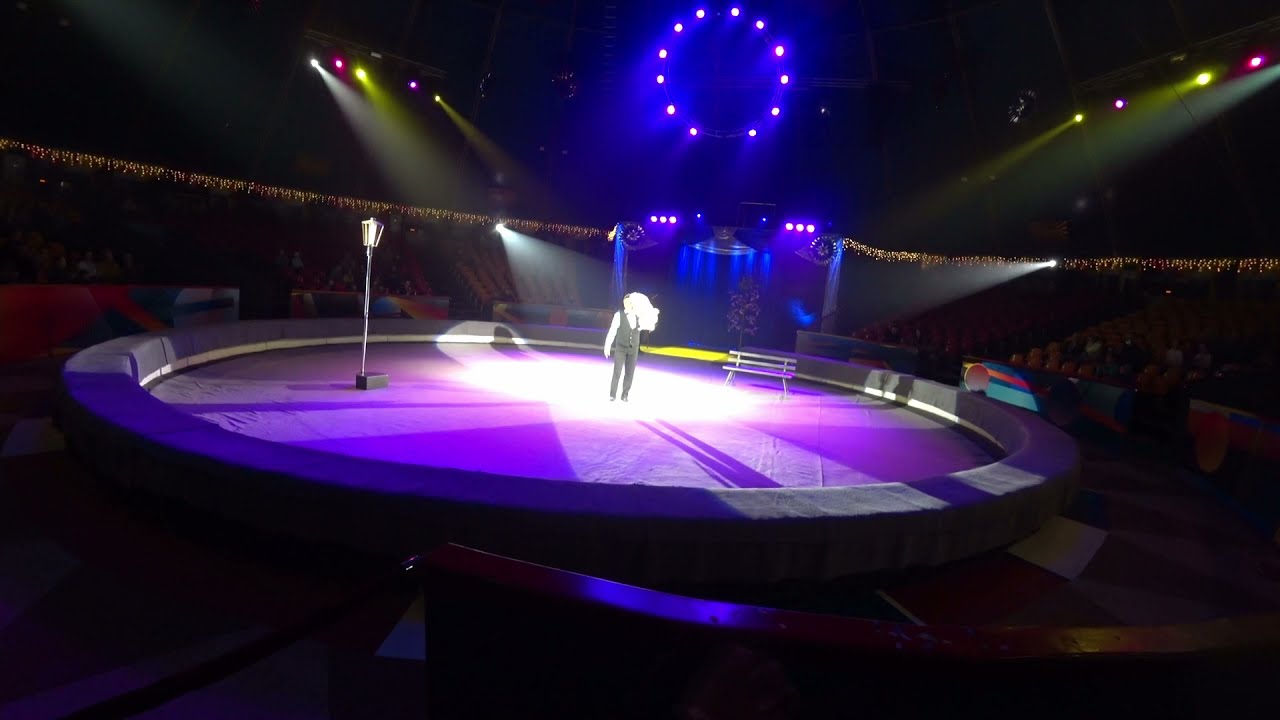 Цирк в Автово