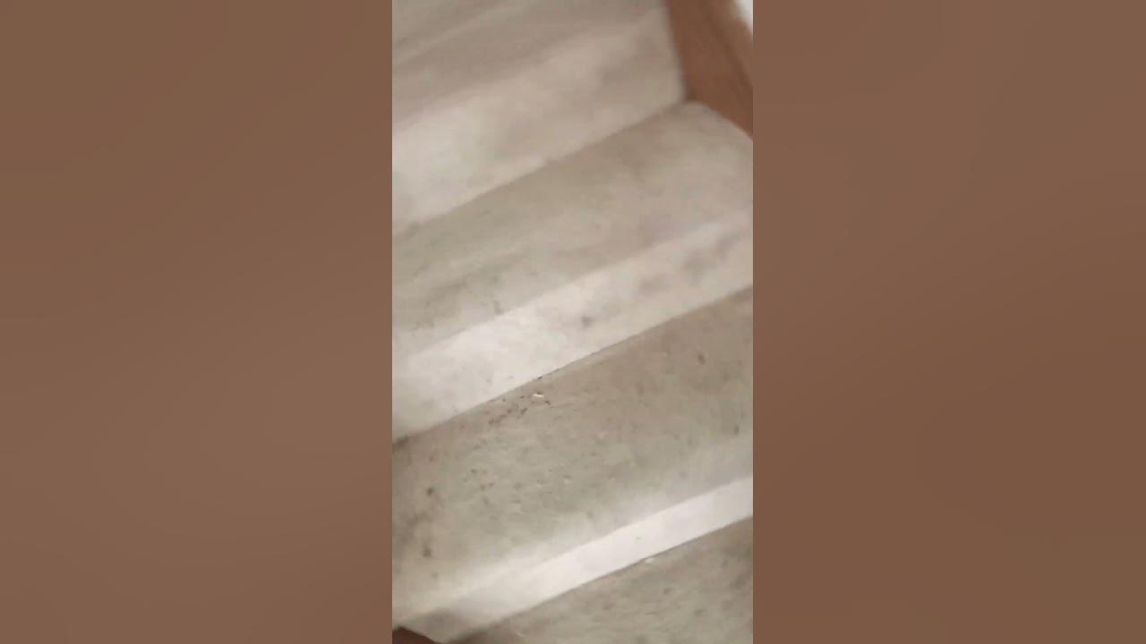 Baby Einstein Home 2800 YouTube