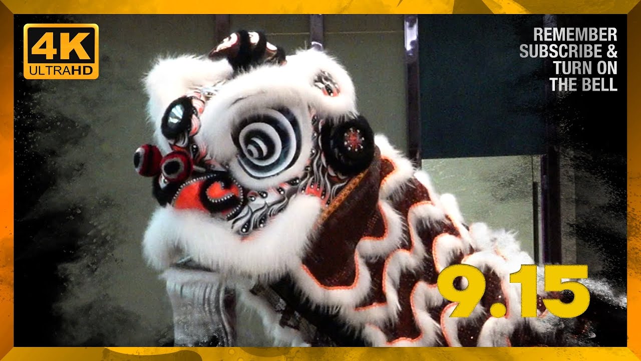 International Acrobatic Lion Dance Competition // 香港聯合堂花炮會