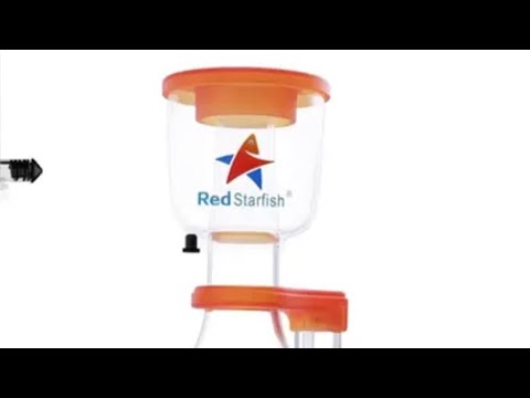 Skimmer SQ-70 red Starfish - YouTube