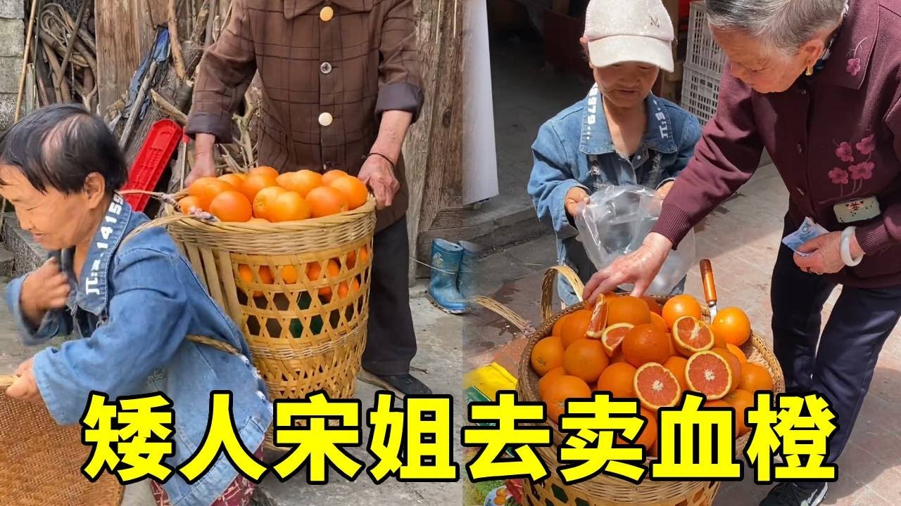 矮人宋姐去卖血橙，没想到这个血橙这么受欢迎，不一会就卖完了！#农村生活#袖珍人
