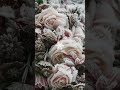 Winter aesthetic!! #winter #aesthetic #frosty #fypシ