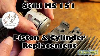 Stihl MS 151 Piston & Cylinder Replacement