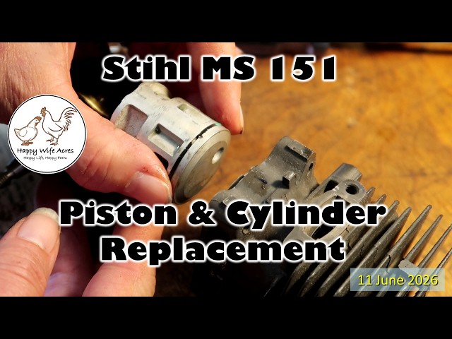 Stihl MS 151 Piston & Cylinder Replacement
