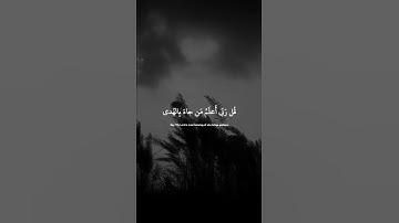 عبدالرحمن مسعد | سورة القصص اية ٨٥ | إن اللذي فرض عليك القرآن"☺️✨