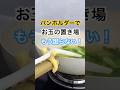 お玉と鍋フタ置き場に困らない｜鹿耳型シリコンパンラック #便利グッズ #キッチン