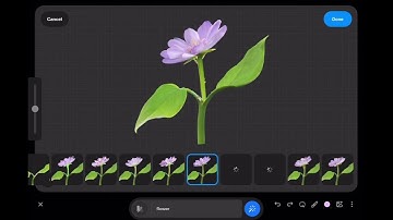 How to draw with AI using Wand