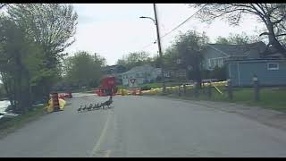 Geese Crossing