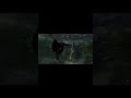 absolutely PEAK black flag edit