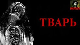 Истории на ночь - Тварь Истории на ночь - Тварь