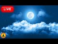  relaxing music 247 stress relief music sleep music meditation music study calming music