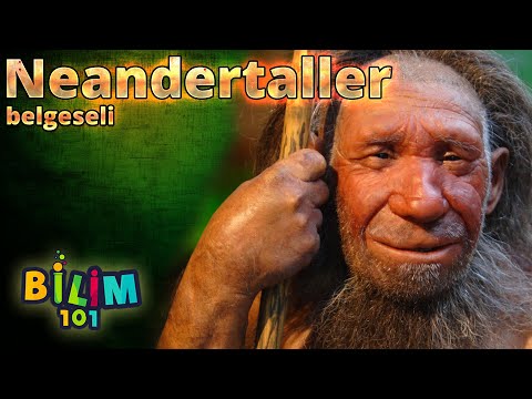 NEANDERTALLER - İlk İnsanlar | Kısa Belgesel