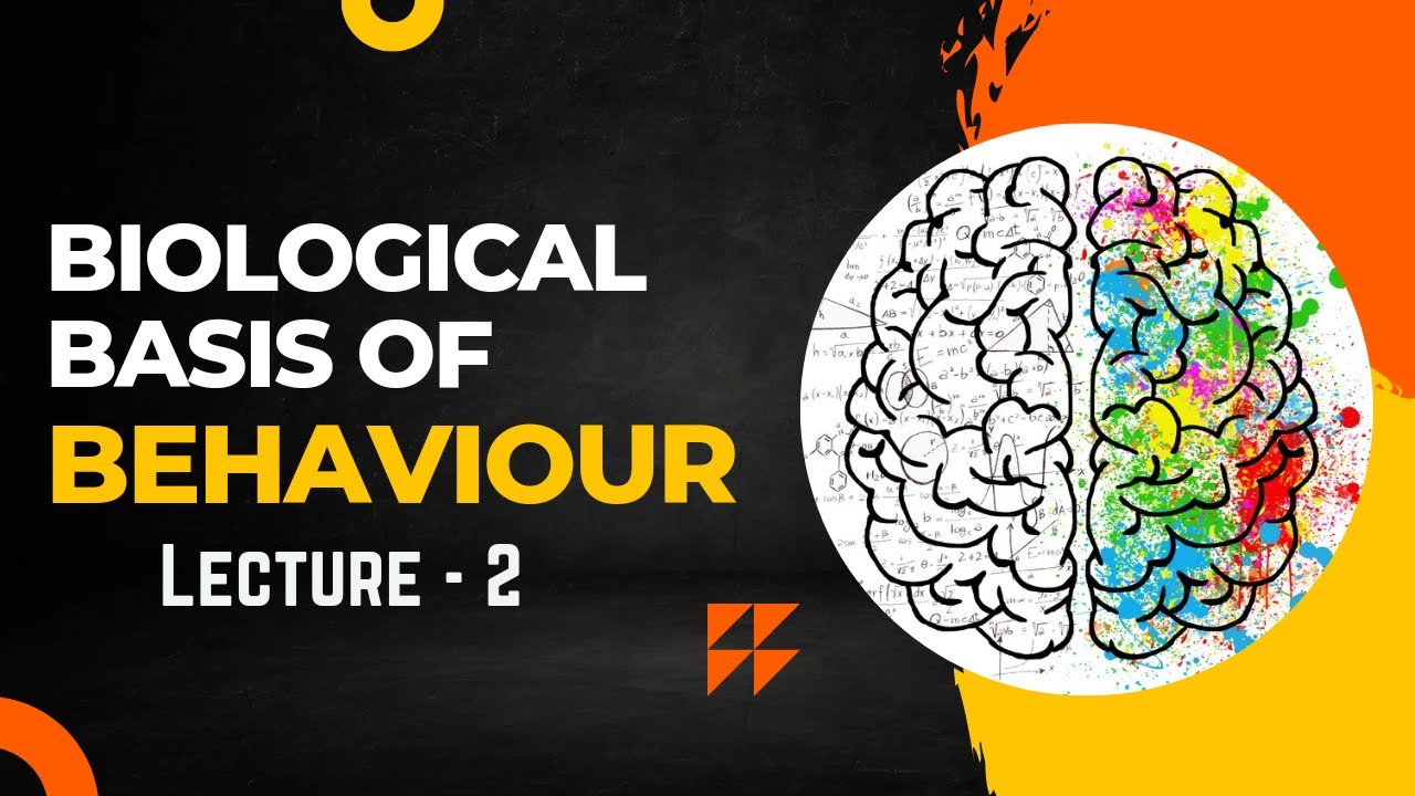 Biological basis of behaviour psychology Lecture -2