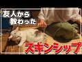 ４匹の猫を飼う友人宅へ 遊びに行きました